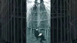 Tesla'nın Deneyleri