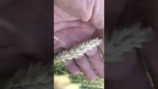 Препарати БТУ працюють!