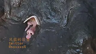 Watson Amelia sink in quicksand
