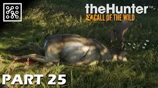 the Hunter: Call of the wild CZ | Na lovu daňků - Part 25 | Lets play | Česky
