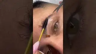 Como crecer tus cejas #atractivo #skincare #piel #beautytips #barber #belleza