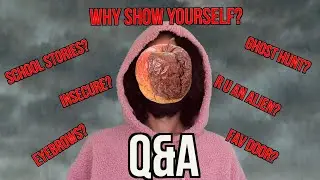 Q&A!