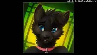 ANIME WOLF- NO HEROES