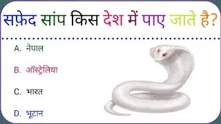gk ssc|gk quiz |gk question|gk in hindigk|quiz in hindi| #sarkarinaukarigk #rkgkgsstudy #education