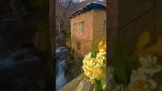 Ez Çûm Gund #kurdistan #amed #shorts #shortsvideo #kurd #1k #fyp #foryou #reels