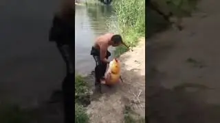 Удачная рыбалка