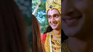 Krishna leela 