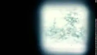 Hjardemålfilmen 1970