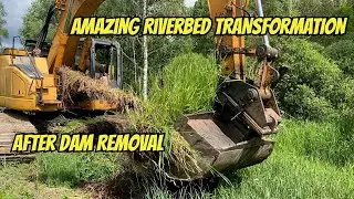 Amazing Riverbed TRANSFORMATION After Dam Removal!
