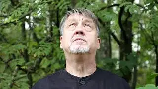 Ощущения