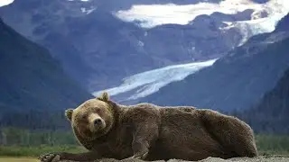 10 Best Places to Visit in Alaska | Travelistia Blog