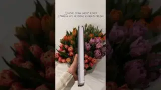 ОТ ЭТОЙ КНИГИ НЕВОЗМОЖНО ОТОРВАТЬСЯ