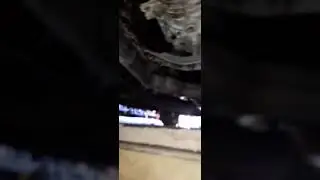 шум кпп