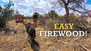 If This Isn't Easy Firewood Harvest I Don't Know What Is!