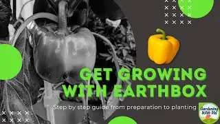 Get Growing with Earthbox
