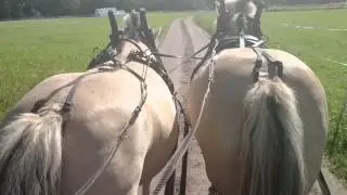 Parkörning, första gången på fem år