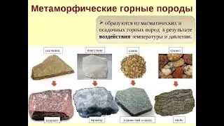 минералы и горные пароды