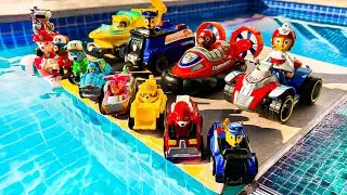 PAW Patrol Rescue Wheels Adventures! w/ Chase 🚗 1 Hours | Looking for Paw Patrol in the pool