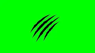 Claw Mark Green Screen Video Template | animationgifs | Animal Claw mark