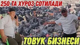 ПАРВОЗ АКА УКАЛАР УЧУН 250 ТА ХУРОЗ СОТИЛАДИ
