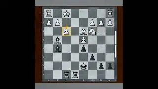 Beautiful Double Bishops Checkmate in French Defense