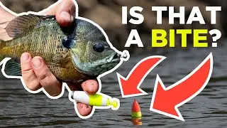 How to Spot Subtle Fish Bites Using a Float!