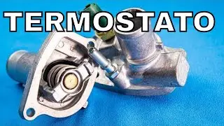 Valvola Termostatica Fiat - Confronto e Novità