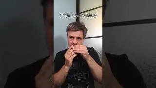 Люди идут по свету на губной гармошке