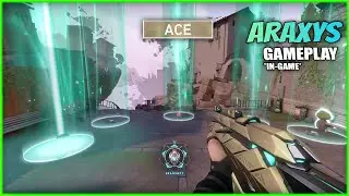 ARAXYS Ace Kill Sounds & Finisher Gameplay // VALORANT