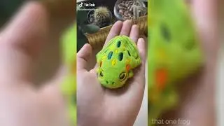 Frog crafts I found on tiktok