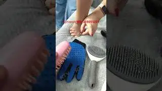 cat brushes review | which brush to choose for a cat | best brush for combing
