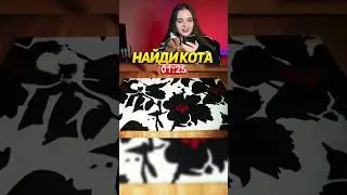 Найди Кота! Сложнейший Уровень