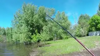 Весенний поплапоппер