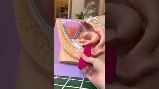Menstrual Discs Quick Guide and Demo with Ziggy 2 