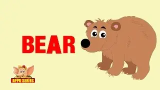 Animal Sounds - Bear