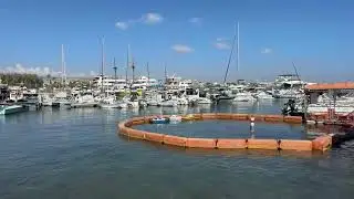 🔴Explore Cyprus is live from Paphos City Harboir in Cyprus Island