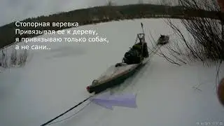 как устроена моя собачья упряжка