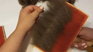 How to Properly Comb Down After Washing