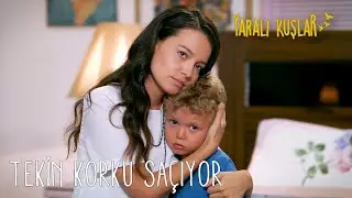 Ömer Tekin'le aile olmak istemiyor! | Yaralı Kuşlar