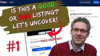 Buy a niche website(#1) - Website listing analysis on Flippa