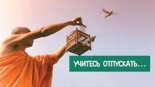 Медитация Отпускание прошлого. Техника перепросмотра жизни. Константин Довлатов