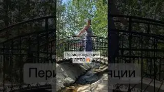 Фазы менструального цикла как времена года