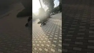 #skate