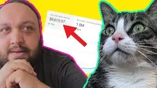 How Much Money I Make on YouTube (With Proof) | The Rewired Soul