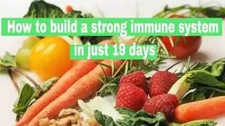 How to build a strong immune system in just 19 days