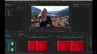 Adobe Premiere Pro CC Complete A Video Editing Project 14