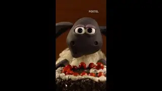 Baaaaad table manners 🐑🍽️