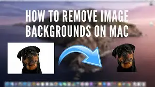 How to Remove an Image Background on Mac
