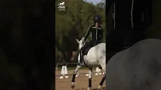 Before You Sit the Trot...