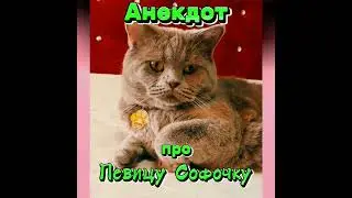 Анекдот про певицу Софочку. 